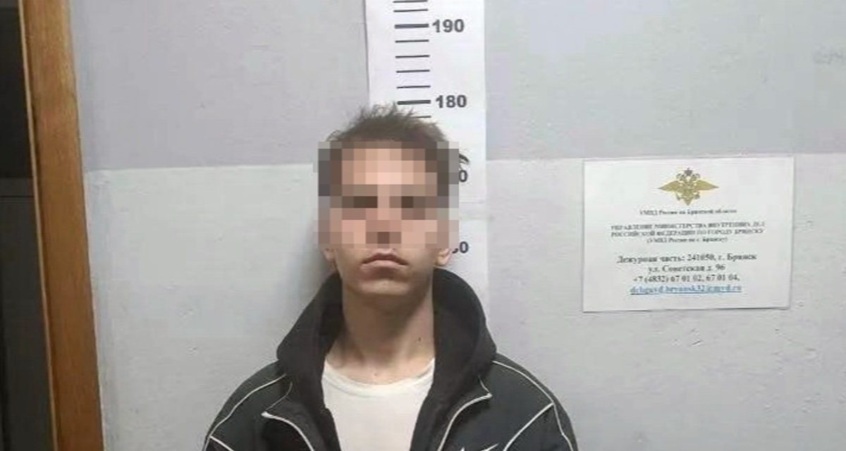 Двое 20-летних приехали в Брянск за «лёгкими» деньгами и попались с более чем 500 дозами