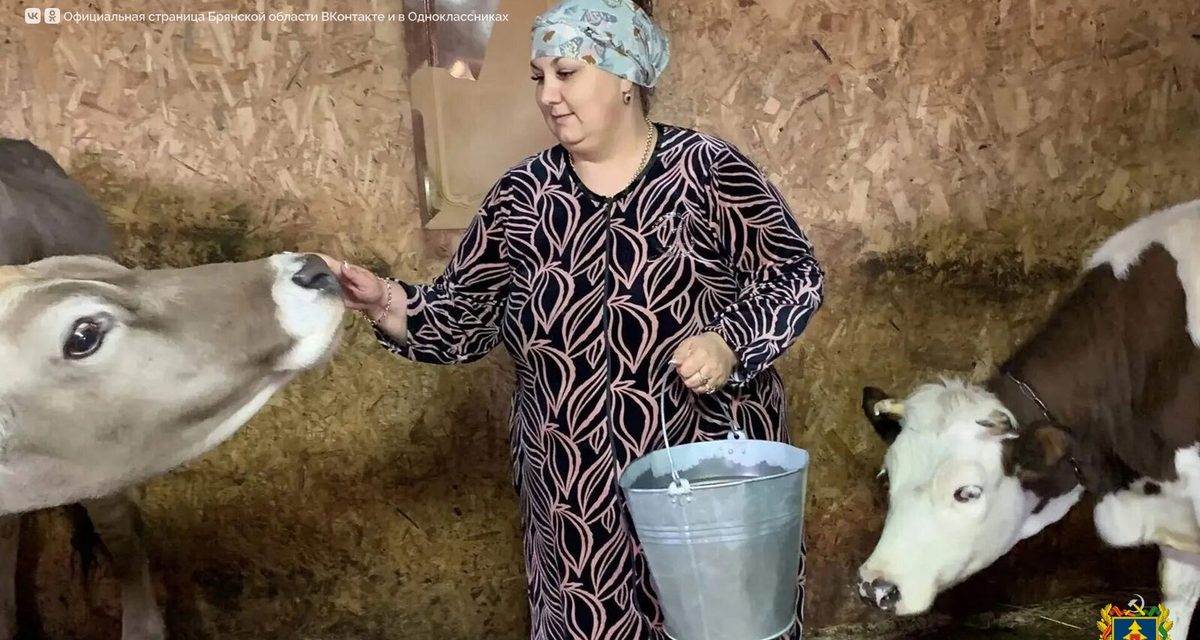 Многодетная мама из Замишево создала ферму с коровами, овцами и сыроварней на соцконтракт